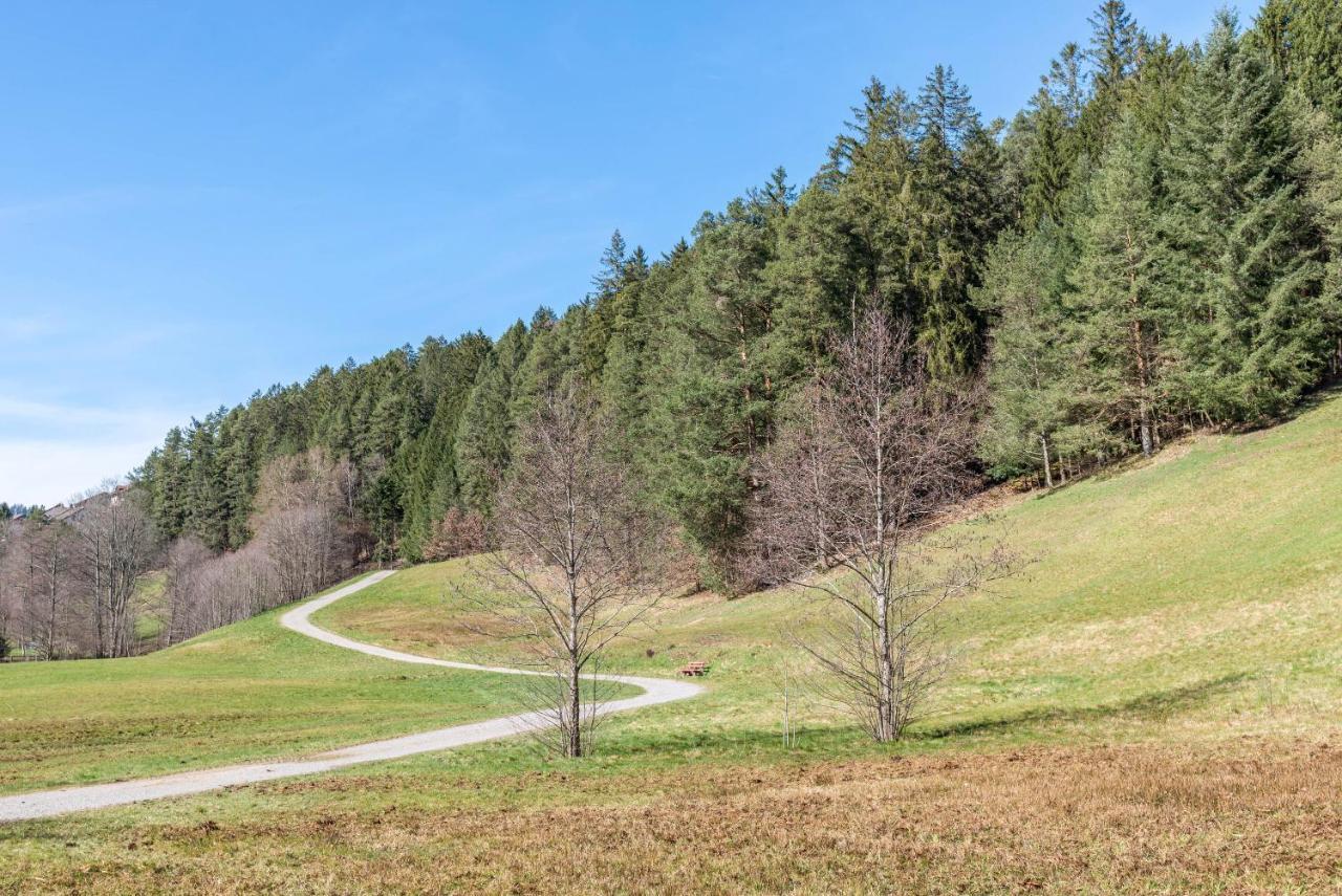 Апартаменты Schwarzwald Woelkchen Байрсброн Экстерьер фото